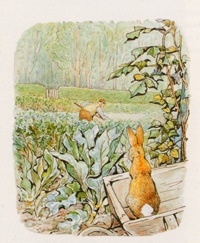 Illustration from THE TALE OF PETER RABBIT by Beatrix Potter Copyright Frederick Warne & Co., 1902, 2002